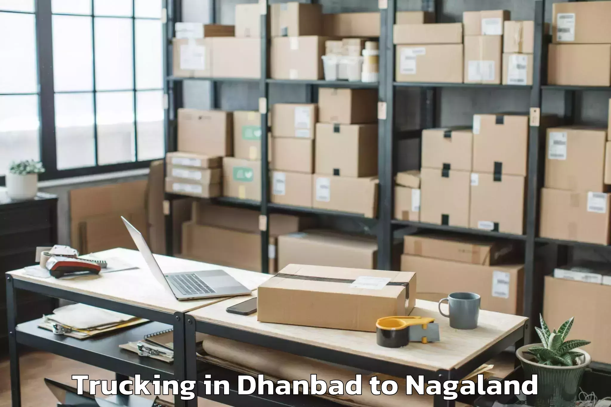 Affordable Dhanbad to Noksen Trucking